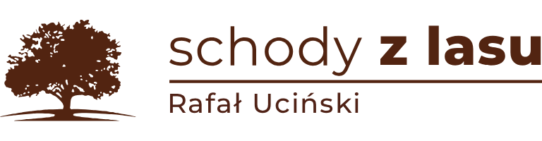 Schody z lasu