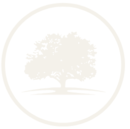 Schody z Lasu logo